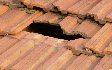 roof repair Springkell, Dumfries And Galloway